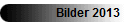 Bilder 2013