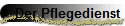 Der Pflegedienst