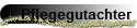 Pflegegutachter