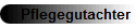 Pflegegutachter
