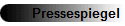 Pressespiegel
